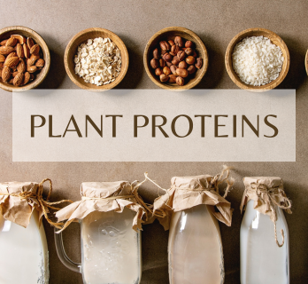 plant protein