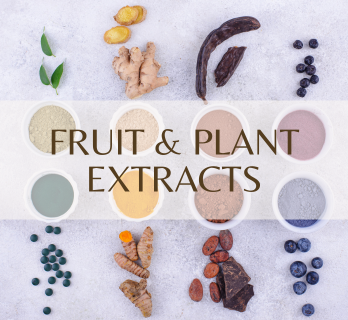 fruit plant extract herbal ingredient supplier thailand halal