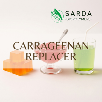 Carrageenan Replacer by Sarda Biopolymers natural hydrocolloid