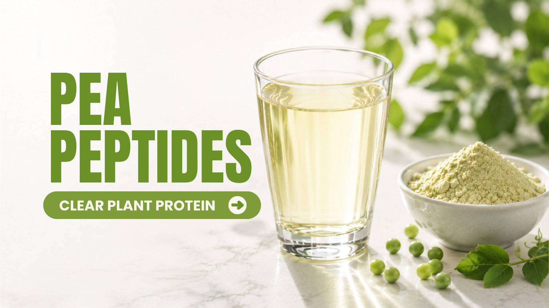 Pea Peptides คืออะไร? โปรตีนจากพืชสำหรับ Clear Protein Drink และ Functional Beverage